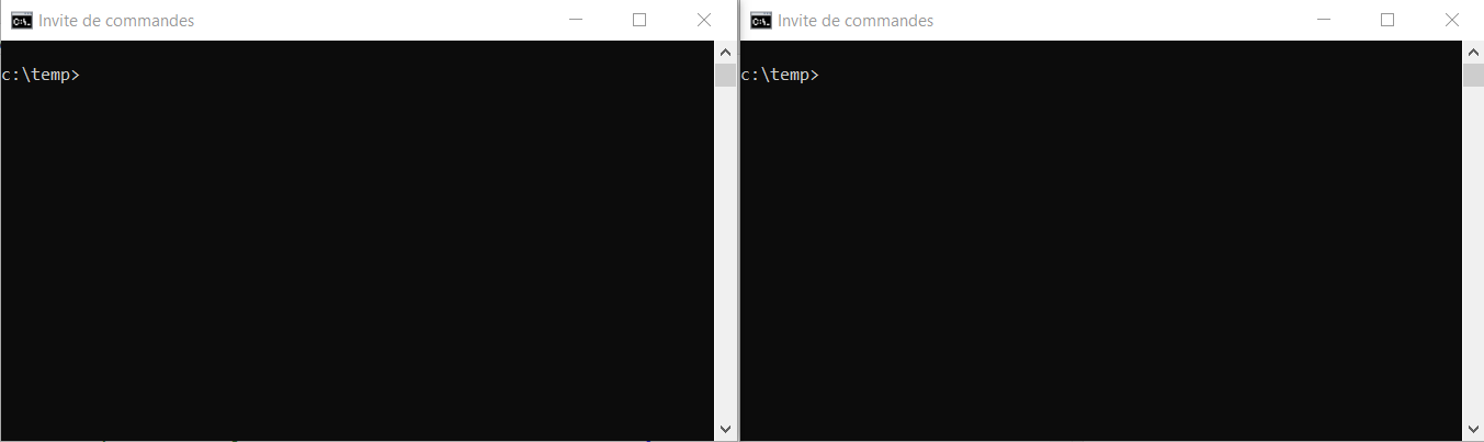 ../_images/fenetre_cmd_parallele.png